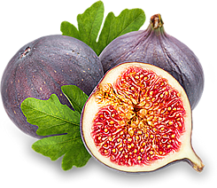 Jagode