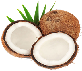 Jagode