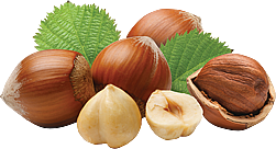 Jagode