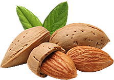Jagode