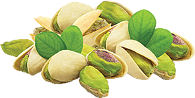 Jagode