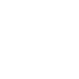 Novo